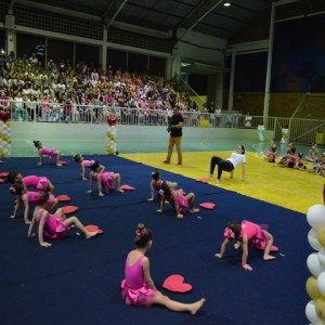 FESTIVAL DE GINÁSTICA 2017