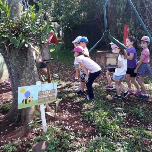 FAZENDO FAZENDA 1º ANO -  2018