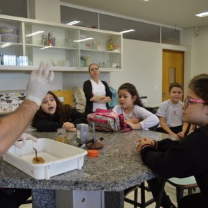 AULA NO LABORATÓRIO SOBRE ANIMAIS VERTEBRADOS E INVERTEBRADOS