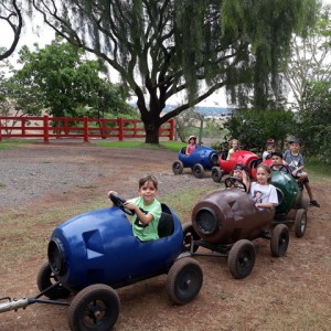 FAZENDO FAZENDA 2º ANO -  2018