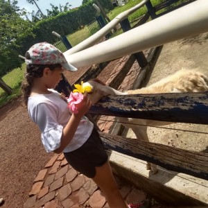 FAZENDO FAZENDA 3º ANO -  2018