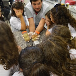 AULA NO LABORATÓRIO SOBRE ANIMAIS VERTEBRADOS E INVERTEBRADOS