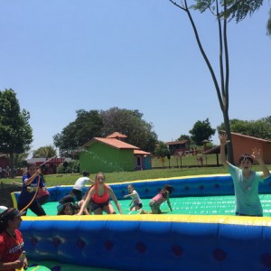 FAZENDO FAZENDA 2017