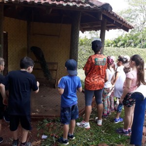 FAZENDO FAZENDA 2º ANO -  2018