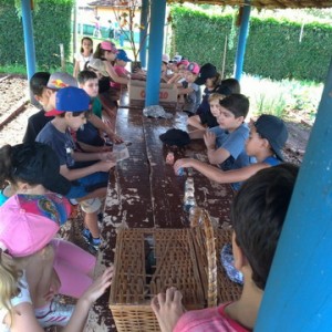 FAZENDO FAZENDA 2º ANO -  2018