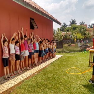 FAZENDO FAZENDA 2017