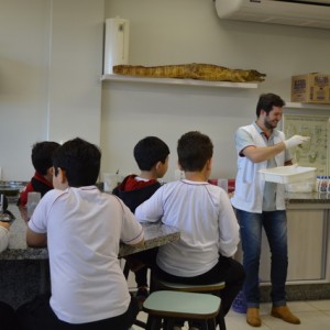 AULA NO LABORATÓRIO SOBRE ANIMAIS VERTEBRADOS E INVERTEBRADOS