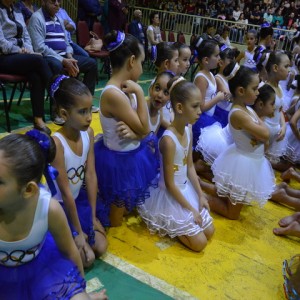 FESTIVAL DE GINÁSTICA 2017