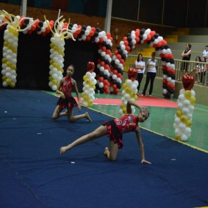 FESTIVAL DE GINÁSTICA 2017