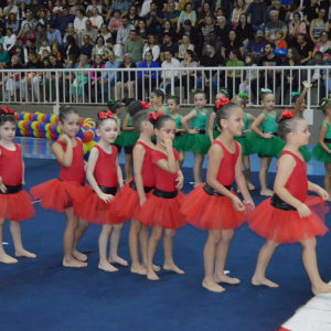 13° Festival de Ginástica Geral - Colégio Santo Inácio