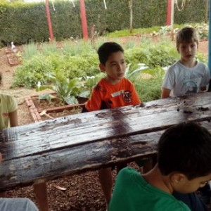 FAZENDO FAZENDA 2º ANO -  2018