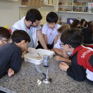 AULA NO LABORATÓRIO SOBRE ANIMAIS VERTEBRADOS E INVERTEBRADOS