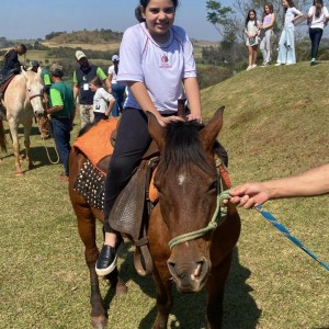 VIAGEM AO JABUTI - 2024