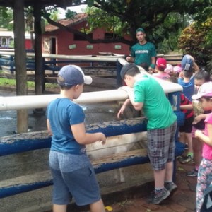 FAZENDO FAZENDA 2º ANO -  2018