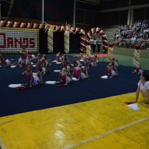 FESTIVAL DE GINÁSTICA 2017