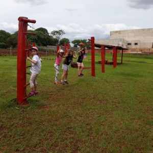 FAZENDO FAZENDA 2º ANO -  2018