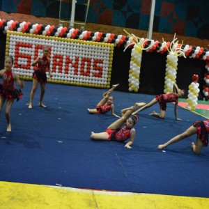 FESTIVAL DE GINÁSTICA 2017