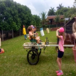 FAZENDO FAZENDA 2017