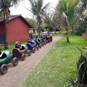 FAZENDO FAZENDA 1º ANO -  2018