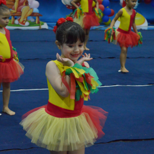 13° Festival de Ginástica Geral - Colégio Santo Inácio