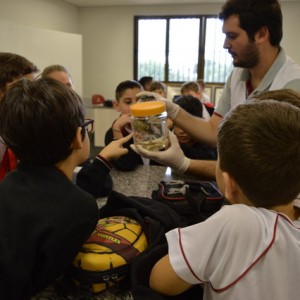 AULA NO LABORATÓRIO SOBRE ANIMAIS VERTEBRADOS E INVERTEBRADOS