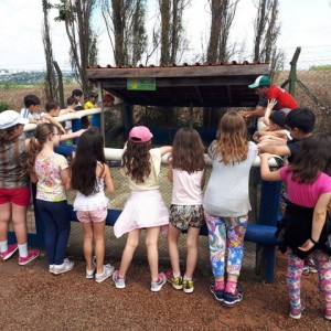 FAZENDO FAZENDA 2º ANO -  2018