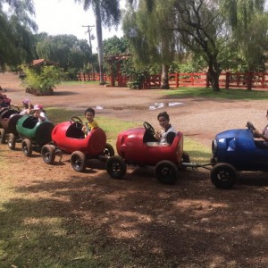 FAZENDO FAZENDA 3º ANO -  2018