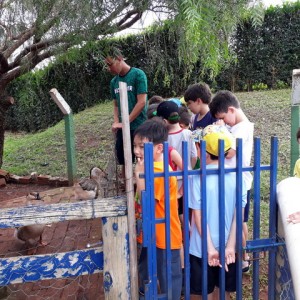 FAZENDO FAZENDA 1º ANO -  2018