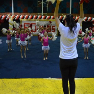 FESTIVAL DE GINÁSTICA 2017