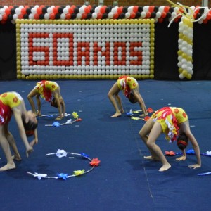 FESTIVAL DE GINÁSTICA 2017