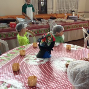 FAZENDO FAZENDA 2017