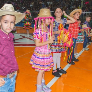 FESTA JUNINA - É O ARRAIÁ DO SANTÃO 2024