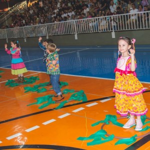 FESTA JUNINA - É O ARRAIÁ DO SANTÃO 2024