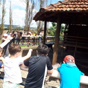 FAZENDO FAZENDA 2º ANO -  2018