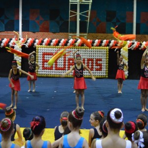 FESTIVAL DE GINÁSTICA 2017