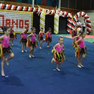 FESTIVAL DE GINÁSTICA 2017