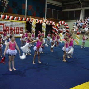 FESTIVAL DE GINÁSTICA 2017