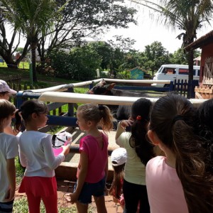 FAZENDO FAZENDA 2º ANO -  2018