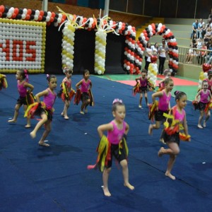 FESTIVAL DE GINÁSTICA 2017