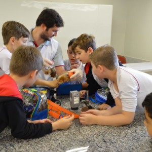 AULA NO LABORATÓRIO SOBRE ANIMAIS VERTEBRADOS E INVERTEBRADOS