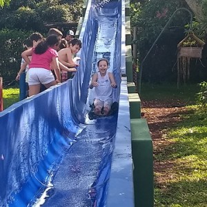 FAZENDO FAZENDA 3º ANO -  2018