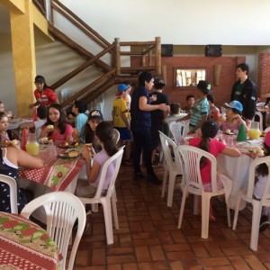 FAZENDO FAZENDA 2017