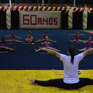 FESTIVAL DE GINÁSTICA 2017