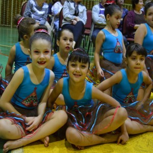 FESTIVAL DE GINÁSTICA 2017