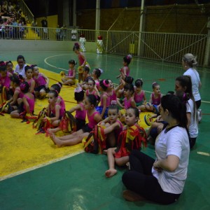 FESTIVAL DE GINÁSTICA 2017