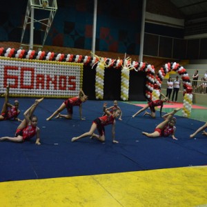 FESTIVAL DE GINÁSTICA 2017