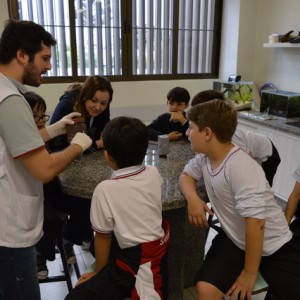 AULA NO LABORATÓRIO SOBRE ANIMAIS VERTEBRADOS E INVERTEBRADOS