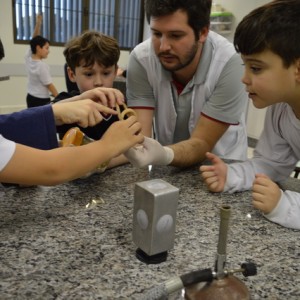 AULA NO LABORATÓRIO SOBRE ANIMAIS VERTEBRADOS E INVERTEBRADOS