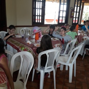 FAZENDO FAZENDA 2º ANO -  2018