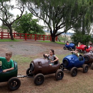 FAZENDO FAZENDA 2º ANO -  2018